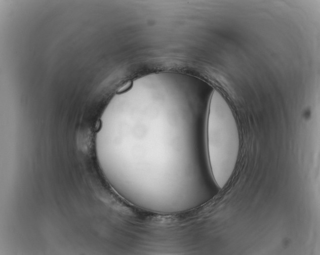 X0000090720077200707201023