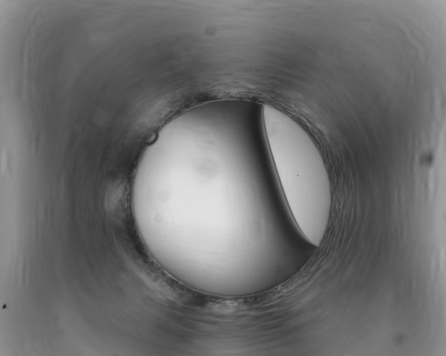 X0000090720079200707201023