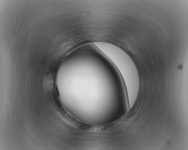 X0000090720080200707201023
