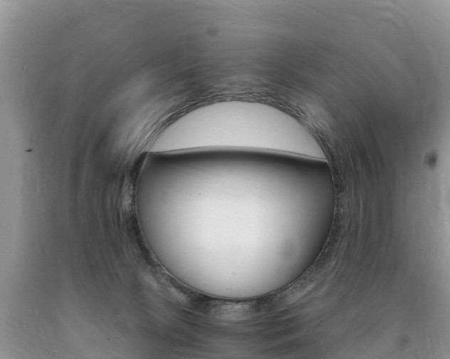 X0000090720081200707201023