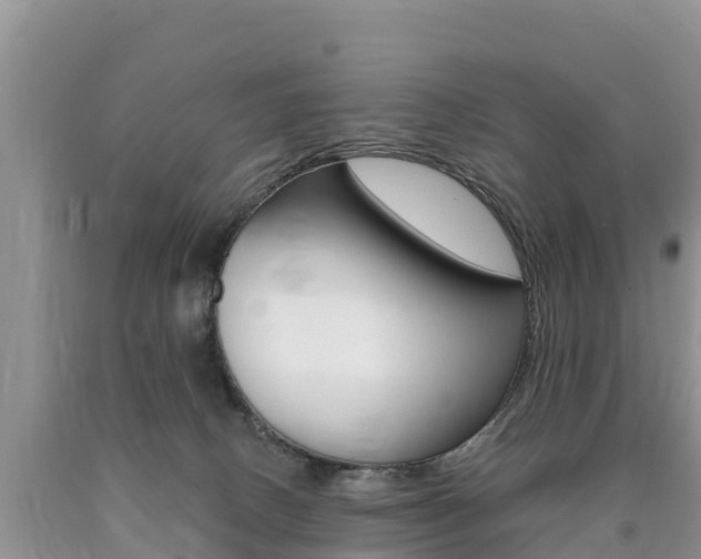 X0000090720082200707201023