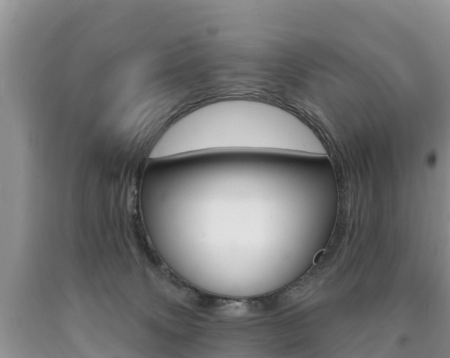 X0000090720083200707201023