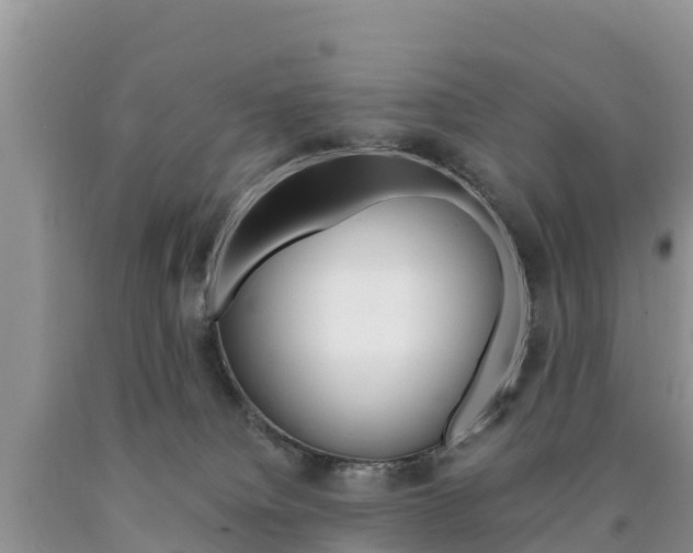 X0000090720084200707201023