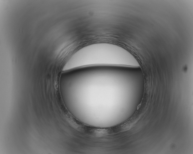 X0000090720085200707201023