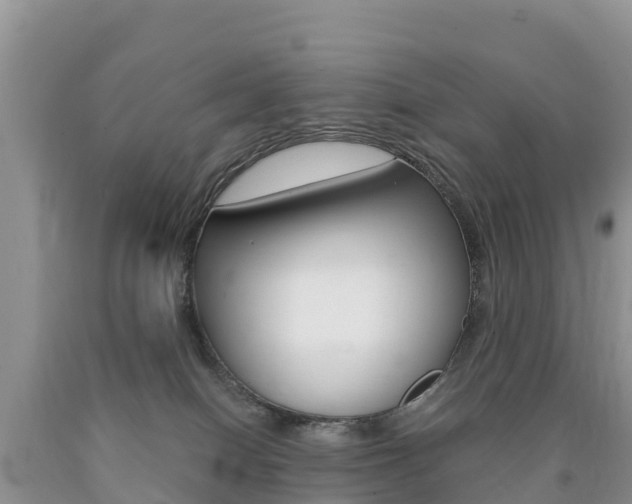 X0000090720086200707201023