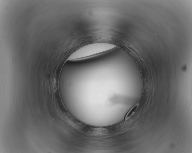 X0000090720087200707201023