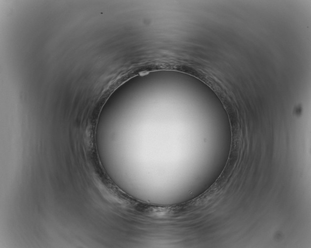 X0000090720088200707201023
