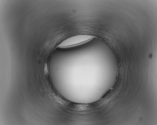 X0000090720089200707201023
