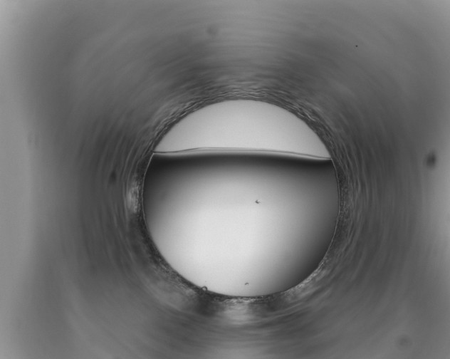 X0000090720090200707201023
