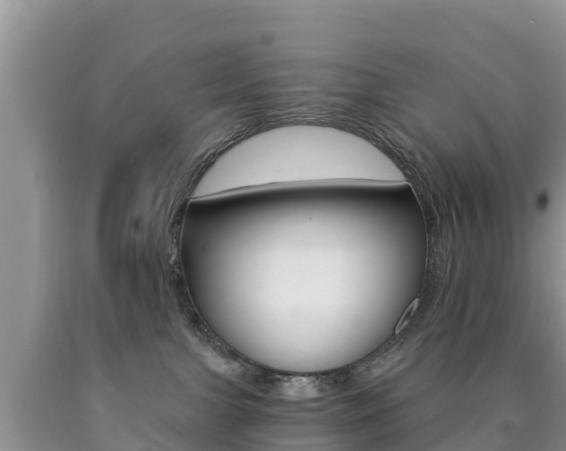 X0000090720091200707201023