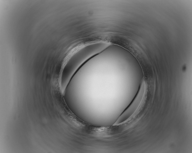 X0000090720092200707201023