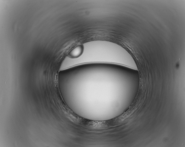 X0000090720093200707201023