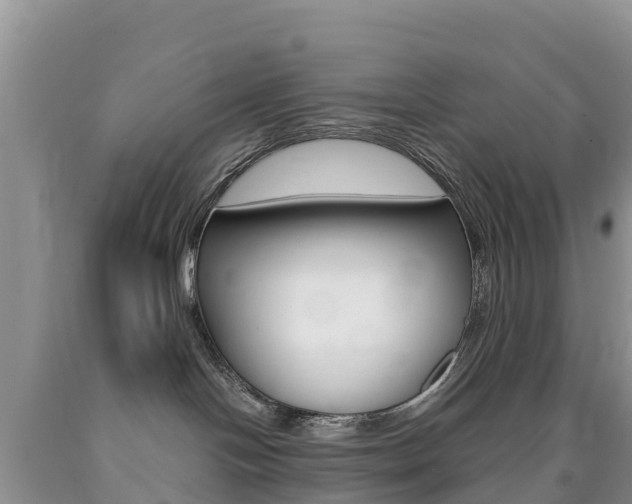 X0000090720094200707201023