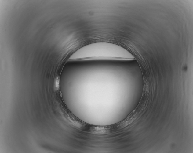 X0000090720095200707201023