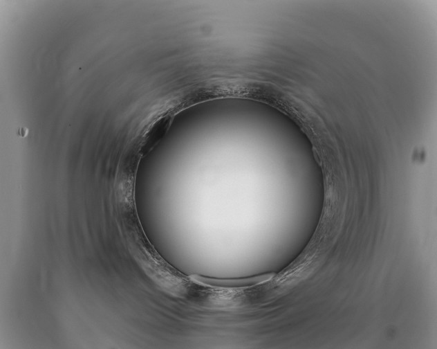 X0000090720096200707201023