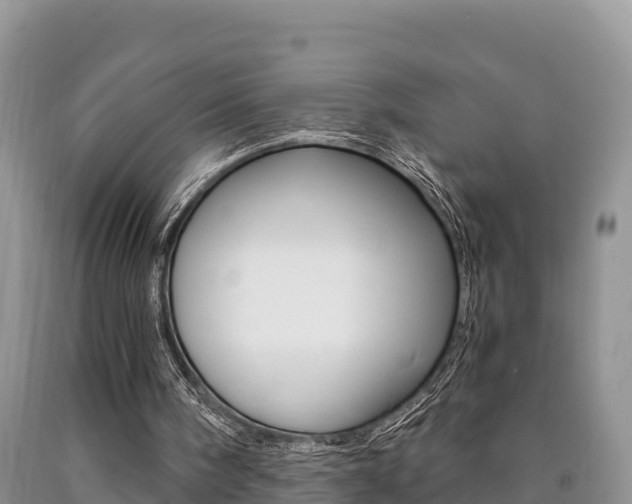 X0000090720098200707201022