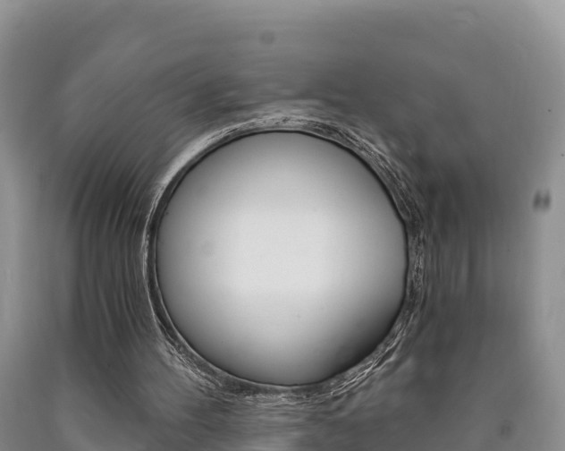 X0000090720100200707201022