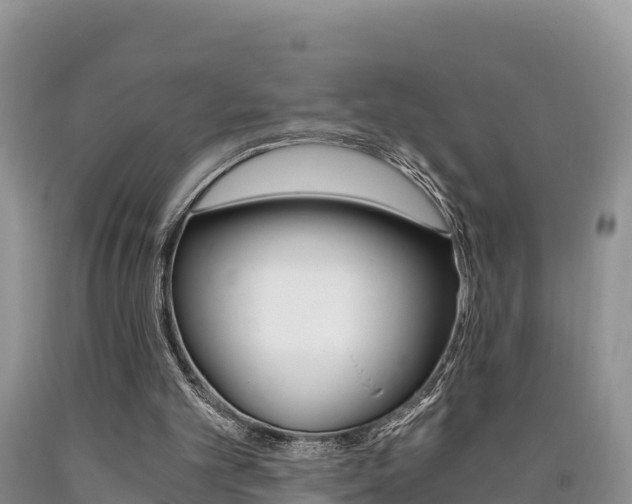 X0000090720101200707201022