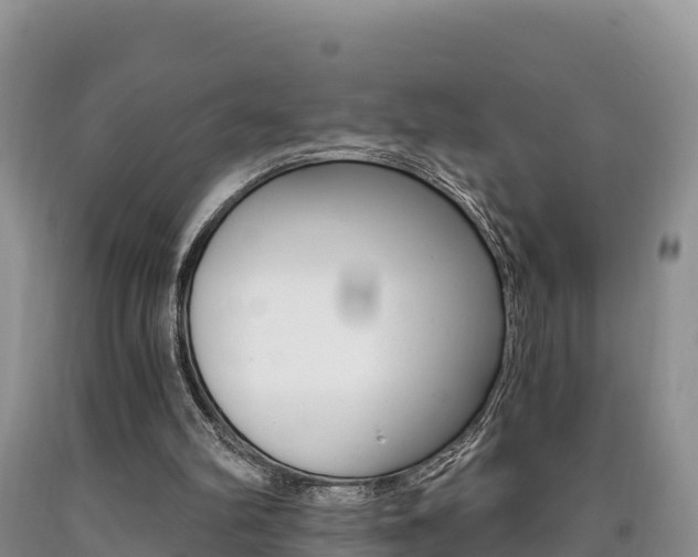 X0000090720102200707201022