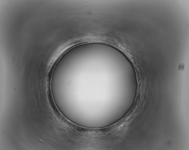 X0000090720103200707201022