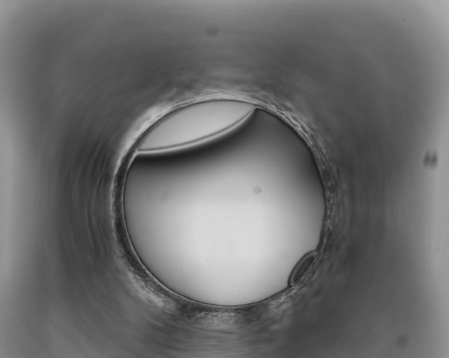 X0000090720104200707201022