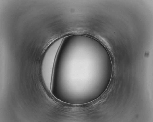 X0000090720105200707201022