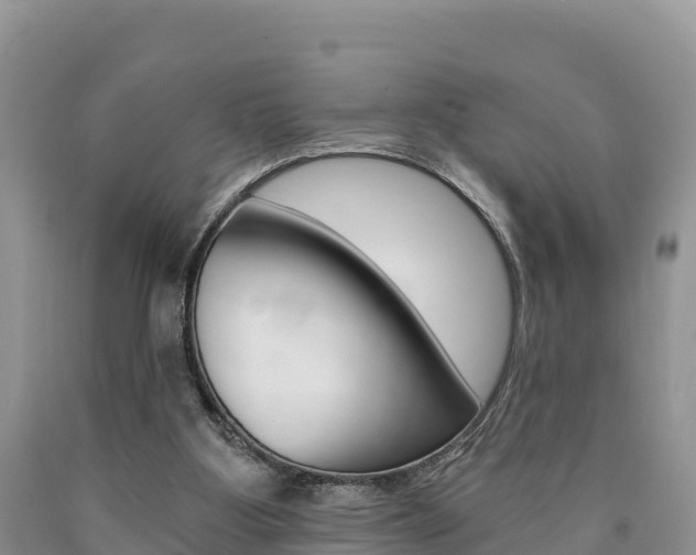 X0000090720107200707201022