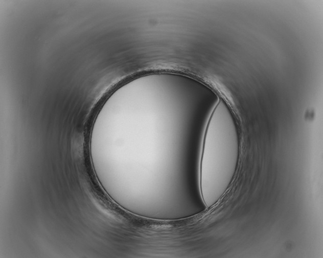 X0000090720108200707201022