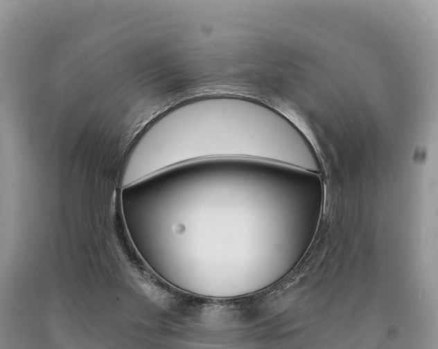X0000090720109200707201022