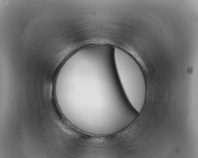 X0000090720110200707201022