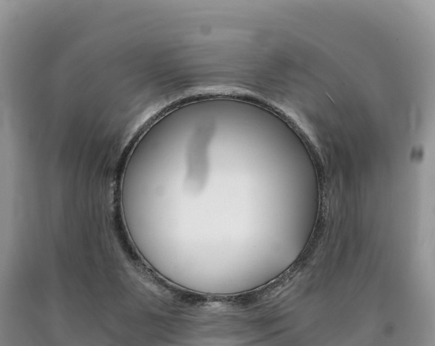 X0000090720111200707201022