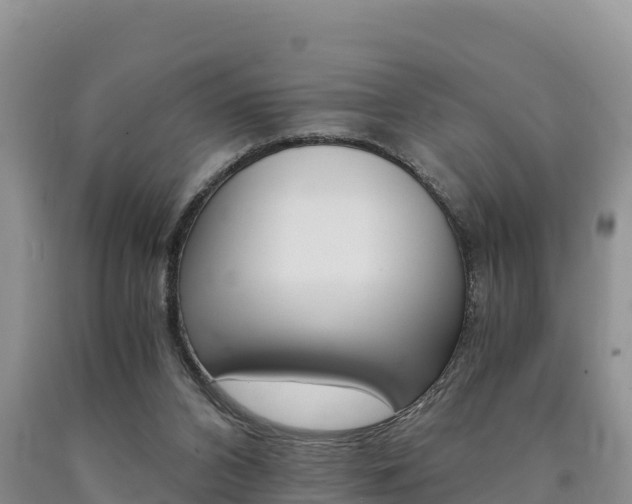 X0000090720112200707201022