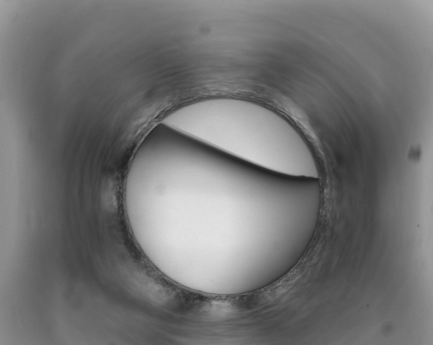 X0000090720114200707201022