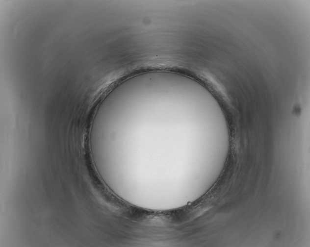 X0000090720115200707201022