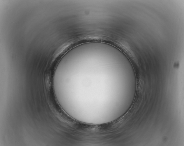 X0000090720116200707201022