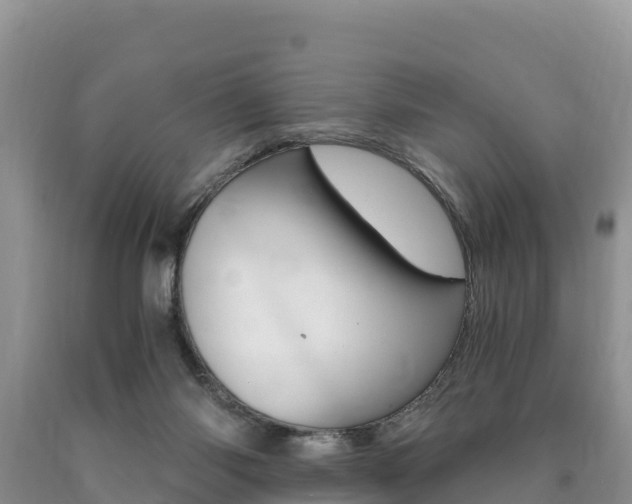 X0000090720118200707201022