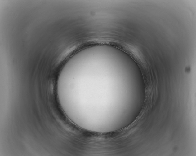 X0000090720120200707201022