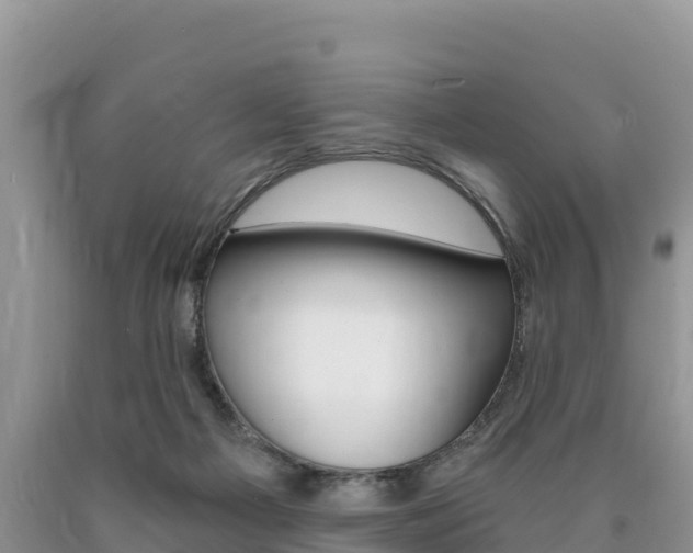 X0000090720121200707201022