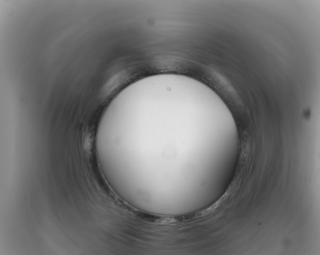 X0000090720124200707201022