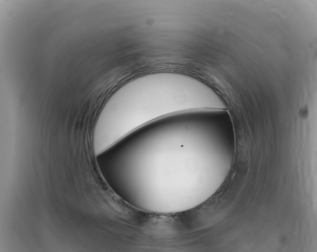 X0000090720125200707201022