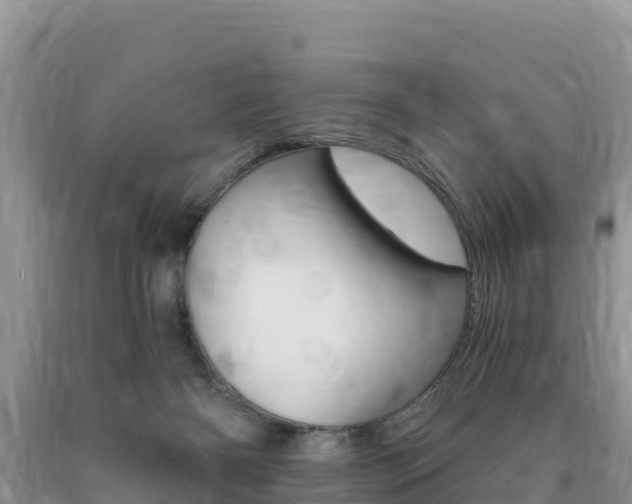 X0000090720126200707201022
