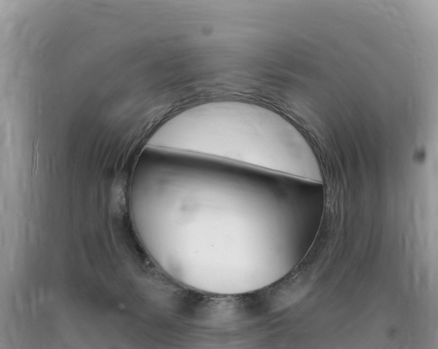 X0000090720127200707201022