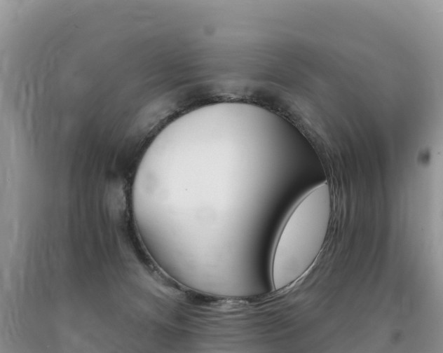 X0000090720128200707201022