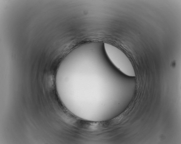 X0000090720130200707201022