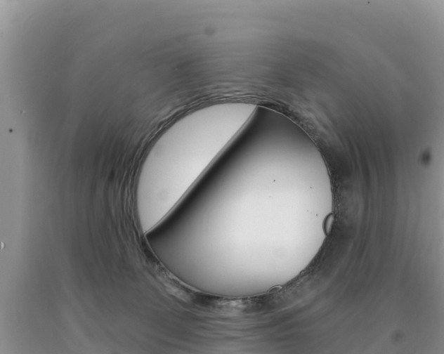 X0000090720131200707201022