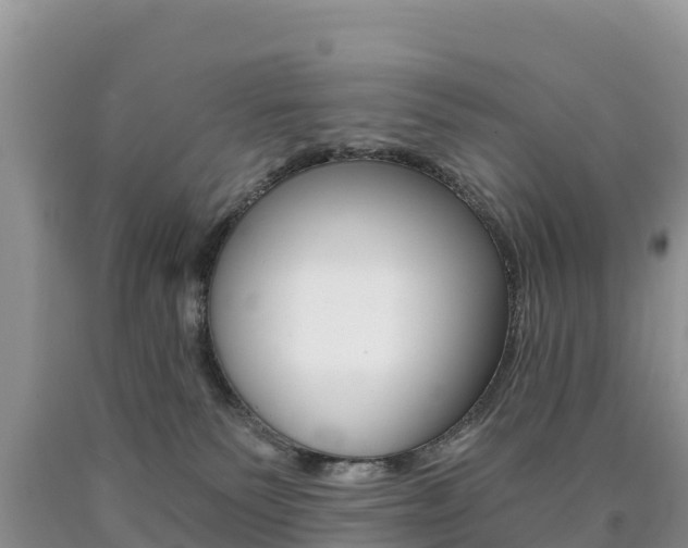 X0000090720135200707201022
