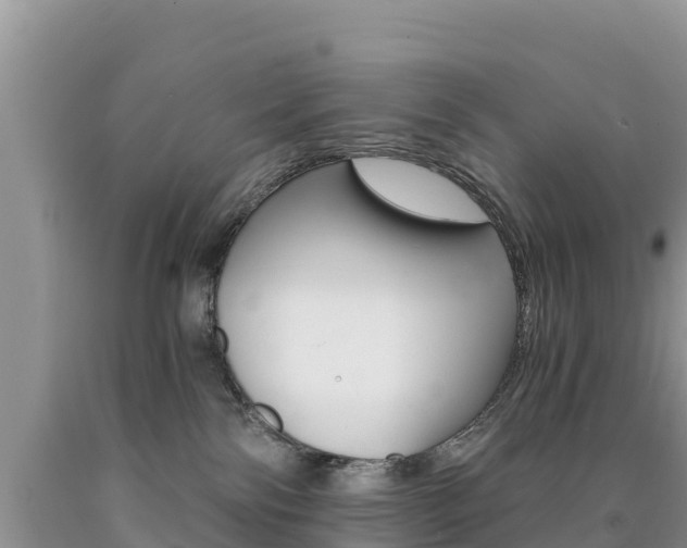 X0000090720138200707201022