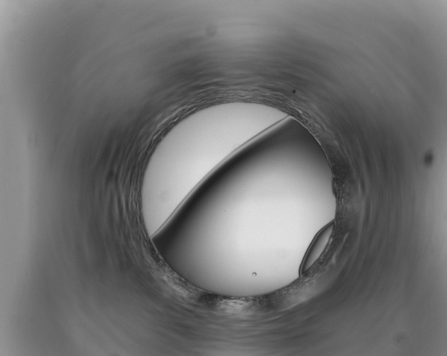 X0000090720139200707201022