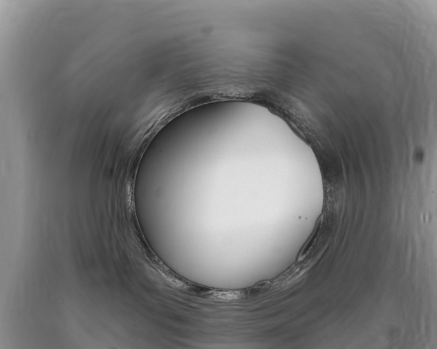X0000090720143200707201022