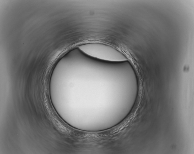 X0000090720145200707201021